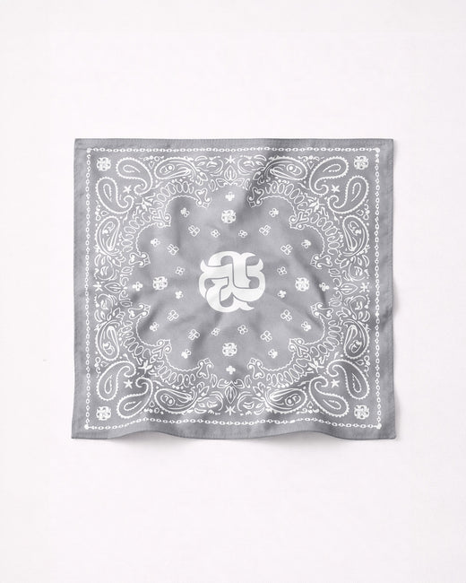 FOULARD PAISLEY GREY